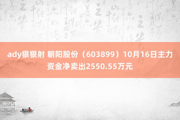ady狠狠射 朝阳股份（603899）10月16日主力资金净卖出2550.55万元