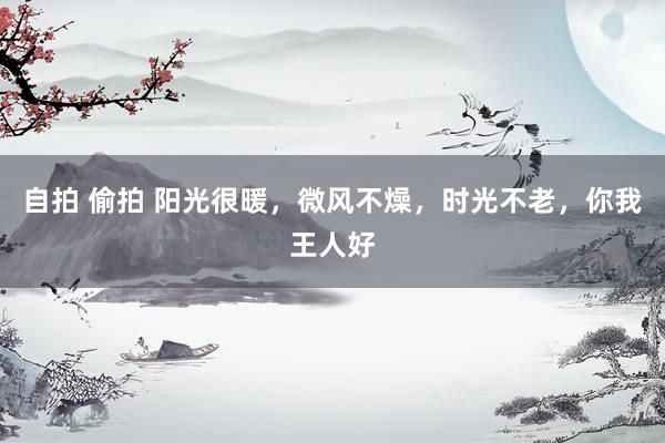 自拍 偷拍 阳光很暖，微风不燥，时光不老，你我王人好