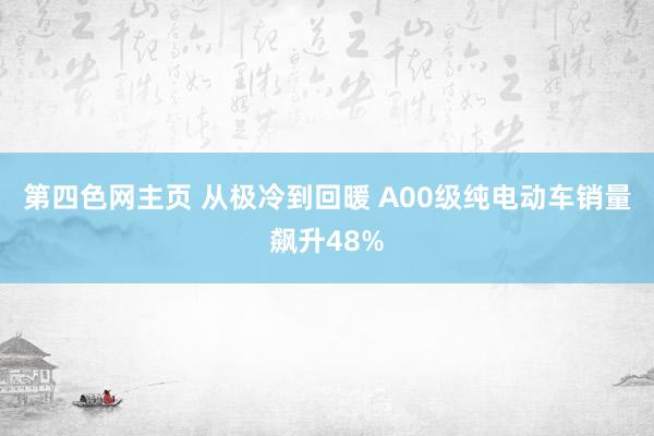 第四色网主页 从极冷到回暖 A00级纯电动车销量飙升48%