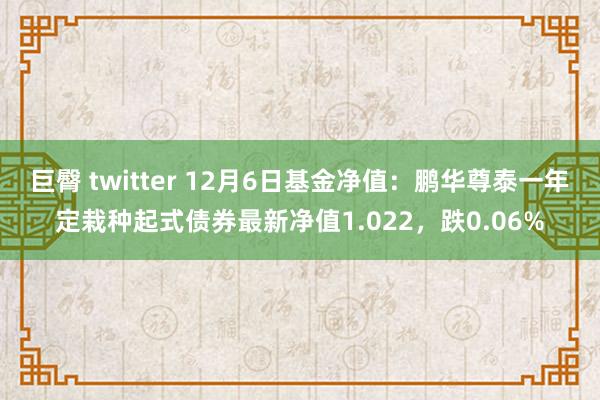 巨臀 twitter 12月6日基金净值：鹏华尊泰一年定栽种起式债券最新净值1.022，跌0.06%