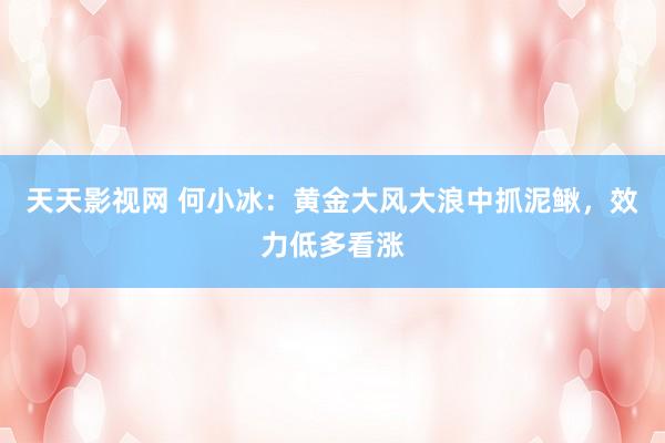 天天影视网 何小冰：黄金大风大浪中抓泥鳅，效力低多看涨