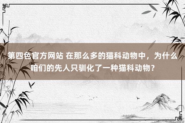 第四色官方网站 在那么多的猫科动物中，为什么咱们的先人只驯化了一种猫科动物？