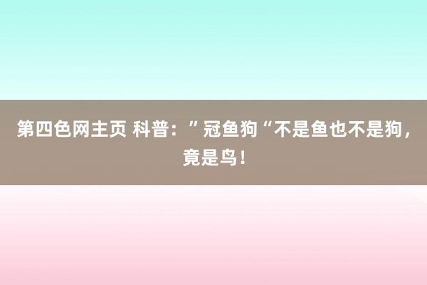 第四色网主页 科普：”冠鱼狗“不是鱼也不是狗，竟是鸟！