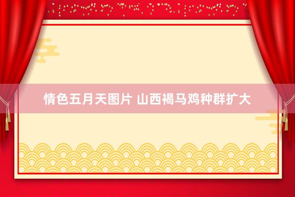 情色五月天图片 山西褐马鸡种群扩大