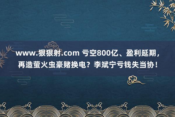 www.狠狠射.com 亏空800亿、盈利延期，再造萤火虫豪赌换电？李斌宁亏钱失当协！