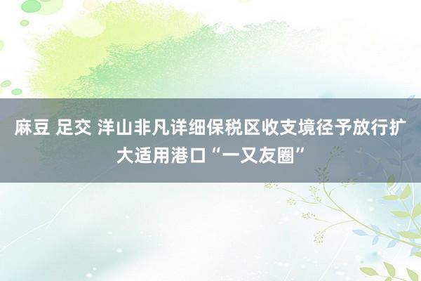 麻豆 足交 洋山非凡详细保税区收支境径予放行扩大适用港口“一又友圈”
