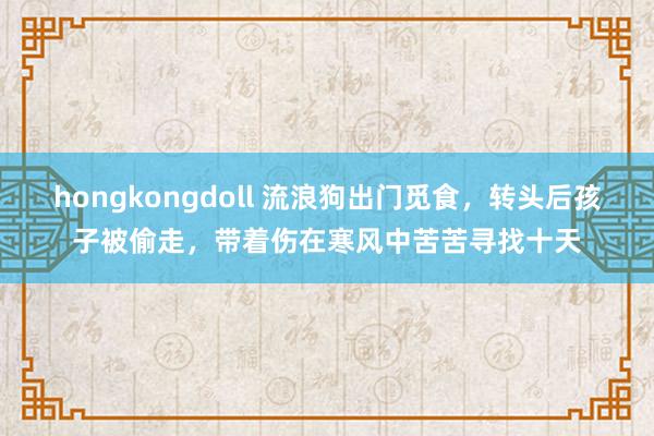 hongkongdoll 流浪狗出门觅食，转头后孩子被偷走，带着伤在寒风中苦苦寻找十天