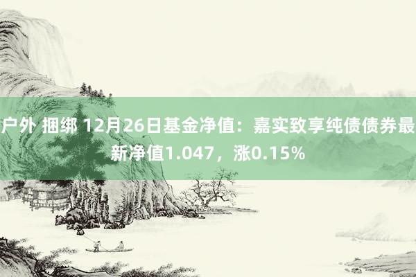 户外 捆绑 12月26日基金净值：嘉实致享纯债债券最新净值1.047，涨0.15%