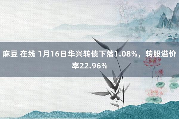 麻豆 在线 1月16日华兴转债下落1.08%，转股溢价率22.96%