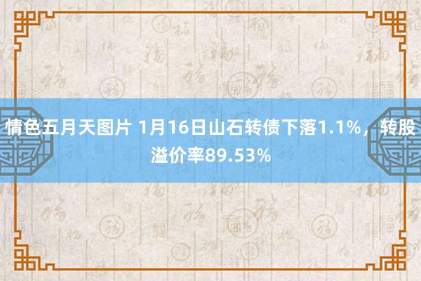 情色五月天图片 1月16日山石转债下落1.1%，转股溢价率89.53%