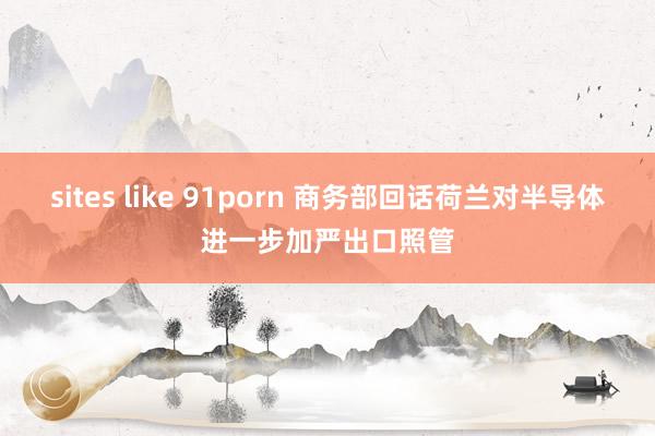 sites like 91porn 商务部回话荷兰对半导体进一步加严出口照管