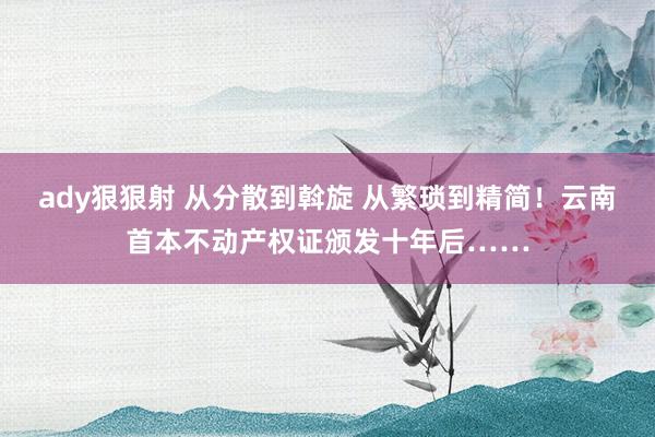 ady狠狠射 从分散到斡旋 从繁琐到精简！云南首本不动产权证颁发十年后……