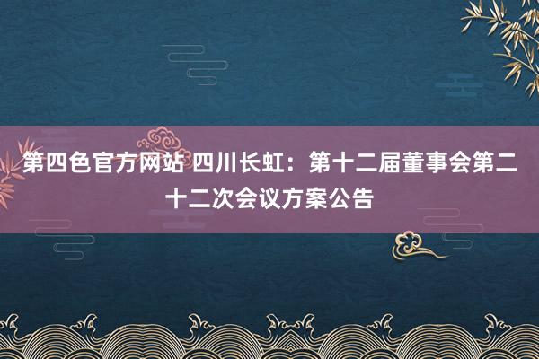 第四色官方网站 四川长虹：第十二届董事会第二十二次会议方案公告