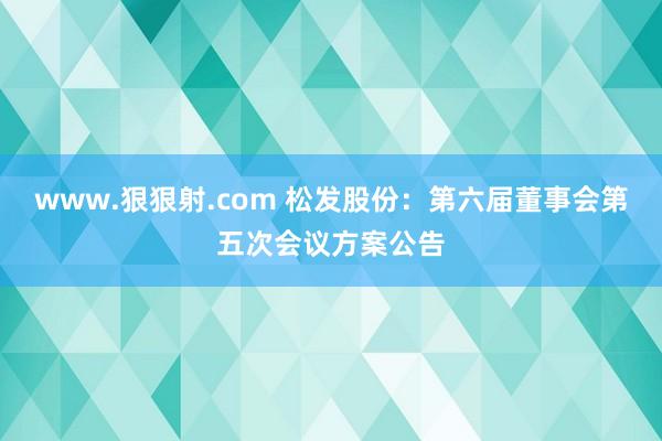 www.狠狠射.com 松发股份：第六届董事会第五次会议方案公告