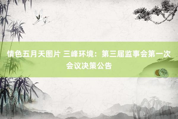情色五月天图片 三峰环境：第三届监事会第一次会议决策公告