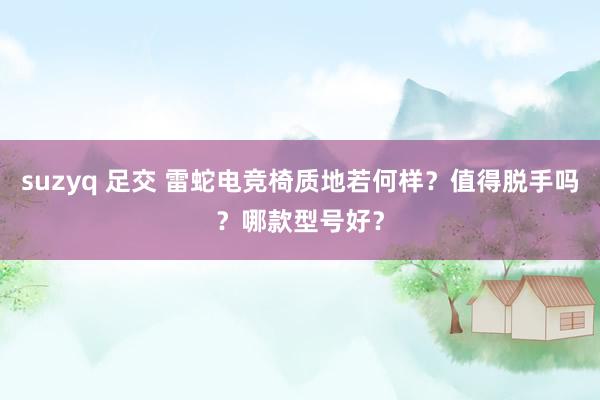 suzyq 足交 雷蛇电竞椅质地若何样？值得脱手吗？哪款型号好？