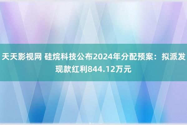 天天影视网 硅烷科技公布2024年分配预案：拟派发现款红利844.12万元