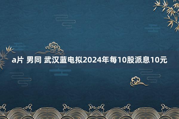 a片 男同 武汉蓝电拟2024年每10股派息10元