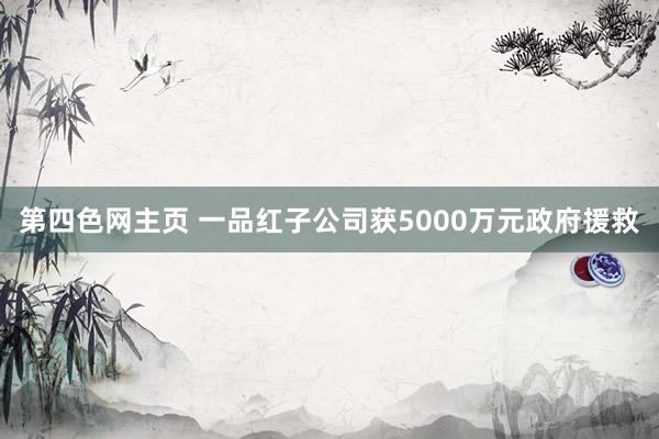 第四色网主页 一品红子公司获5000万元政府援救