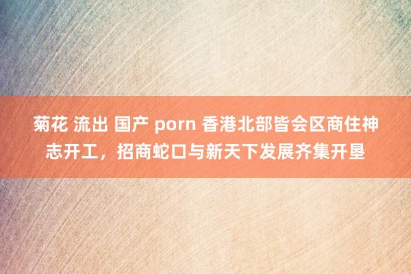 菊花 流出 国产 porn 香港北部皆会区商住神志开工，招商蛇口与新天下发展齐集开垦