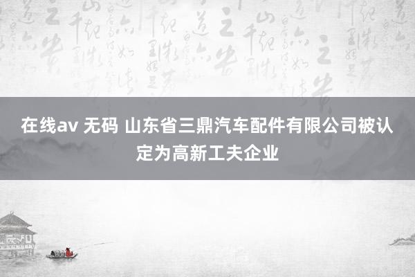 在线av 无码 山东省三鼎汽车配件有限公司被认定为高新工夫企业
