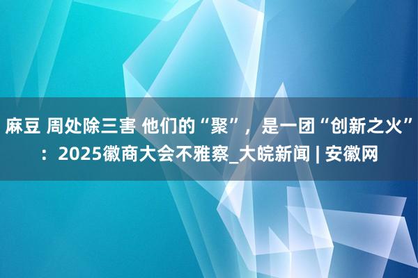 麻豆 周处除三害 他们的“聚”，是一团“创新之火”：2025徽商大会不雅察_大皖新闻 | 安徽网