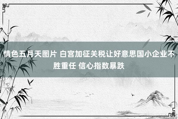 情色五月天图片 白宫加征关税让好意思国小企业不胜重任 信心指数暴跌