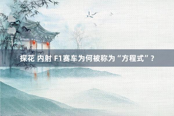 探花 内射 F1赛车为何被称为“方程式”？