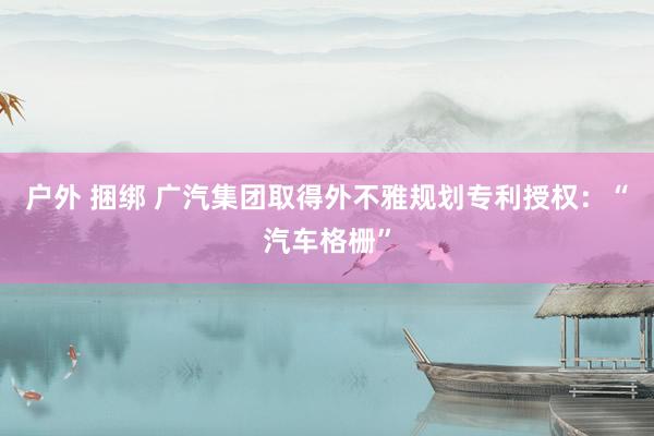 户外 捆绑 广汽集团取得外不雅规划专利授权：“汽车格栅”