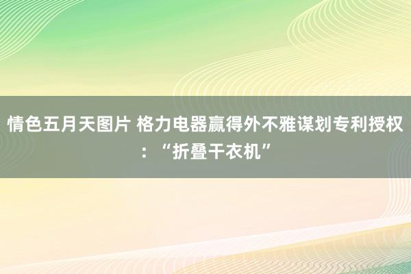 情色五月天图片 格力电器赢得外不雅谋划专利授权：“折叠干衣机”