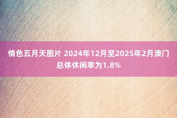 情色五月天图片 2024年12月至2025年2月澳门总体休闲率为1.8%