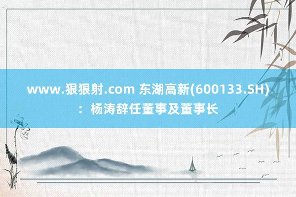 www.狠狠射.com 东湖高新(600133.SH)：杨涛辞任董事及董事长