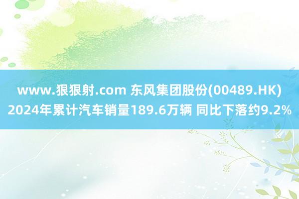 www.狠狠射.com 东风集团股份(00489.HK)2024年累计汽车销量189.6万辆 同比下落约9.2%