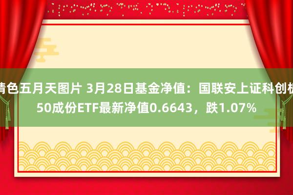 情色五月天图片 3月28日基金净值：国联安上证科创板50成份ETF最新净值0.6643，跌1.07%