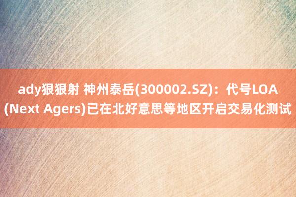 ady狠狠射 神州泰岳(300002.SZ)：代号LOA(Next Agers)已在北好意思等地区开启交易化测试