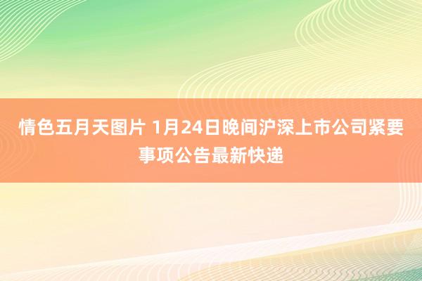 情色五月天图片 1月24日晚间沪深上市公司紧要事项公告最新快递