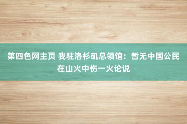 第四色网主页 我驻洛杉矶总领馆：暂无中国公民在山火中伤一火论说