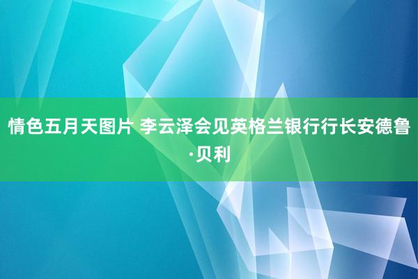 情色五月天图片 李云泽会见英格兰银行行长安德鲁·贝利