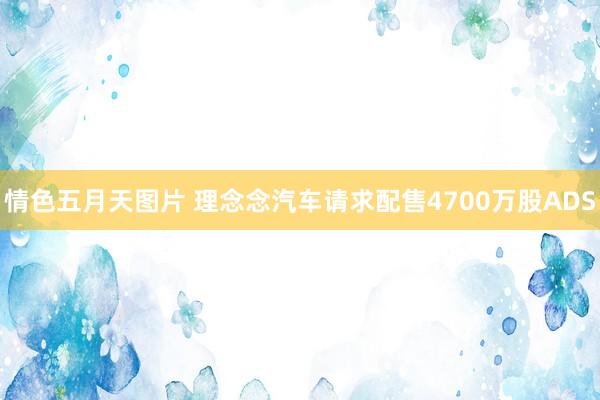 情色五月天图片 理念念汽车请求配售4700万股ADS