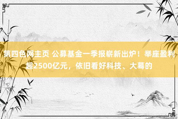 第四色网主页 公募基金一季报崭新出炉！举座盈利超2500亿元，依旧看好科技、大蓦的