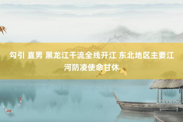 勾引 直男 黑龙江干流全线开江 东北地区主要江河防凌使命甘休