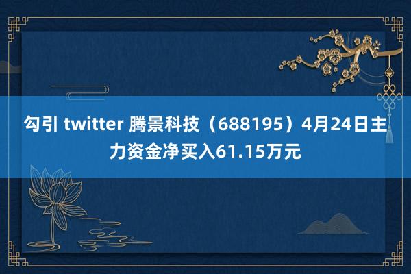 勾引 twitter 腾景科技（688195）4月24日主力资金净买入61.15万元