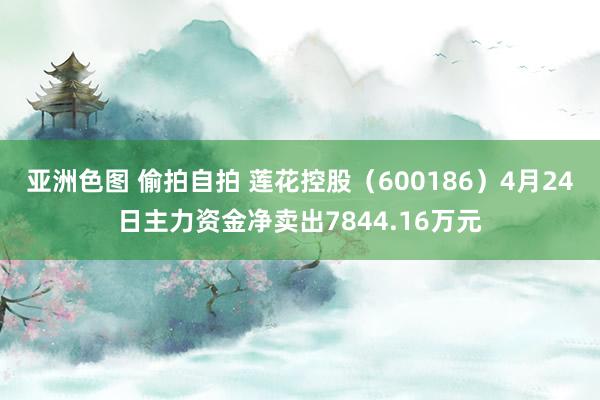 亚洲色图 偷拍自拍 莲花控股（600186）4月24日主力资金净卖出7844.16万元