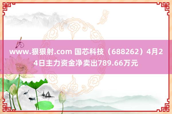 www.狠狠射.com 国芯科技（688262）4月24日主力资金净卖出789.66万元