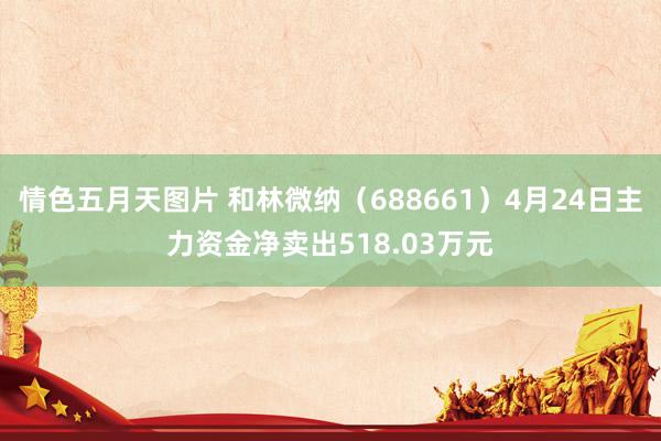 情色五月天图片 和林微纳（688661）4月24日主力资金净卖出518.03万元