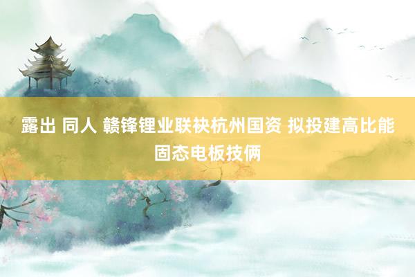 露出 同人 赣锋锂业联袂杭州国资 拟投建高比能固态电板技俩